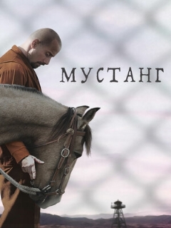 Постер: Мустанг