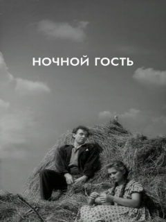 Постер: Ночной гость