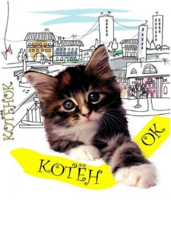 Постер: Котенок
