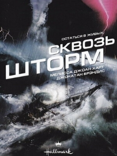 Постер: Сквозь шторм
