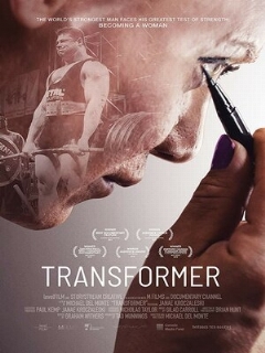 Постер: Transformer