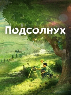 Постер: Подсолнух