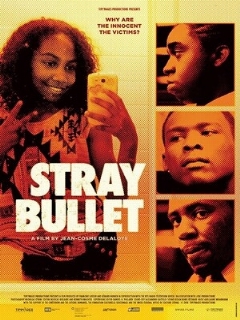 Постер: Stray Bullet