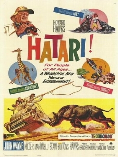 Постер: Хатари!