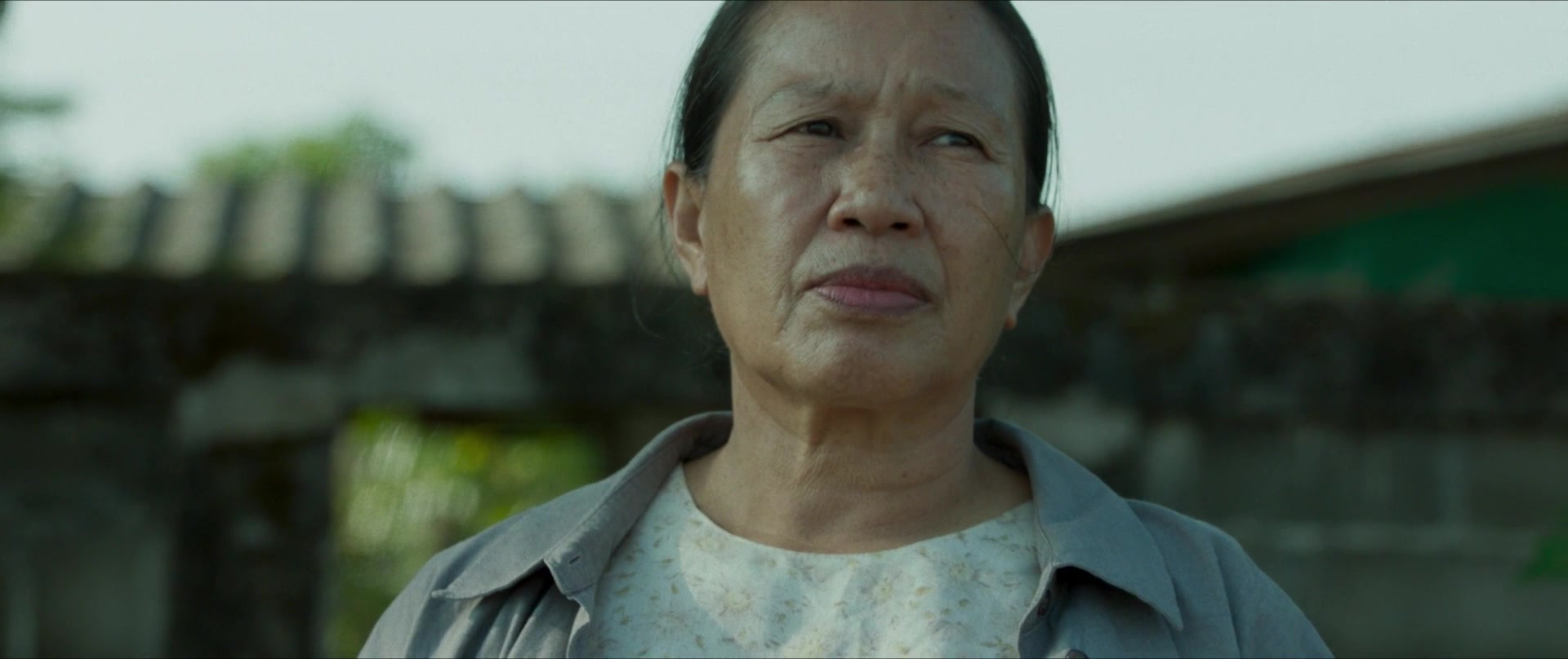 La cueva película online en español
