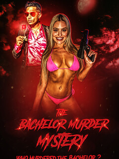 Постер: The Bachelor Murder Mystery