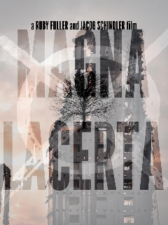 Постер: Магна Ласерта