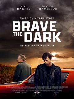 Постер: Brave the Dark