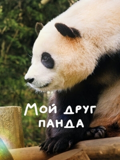 Постер: Мой друг панда