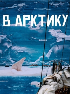 Постер: В Арктику