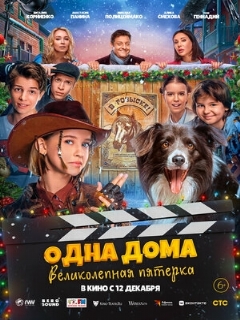 Постер: Одна дома: Великолепная пятерка