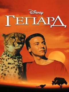 Постер: Гепард