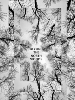 Постер: Beyond the North Woods