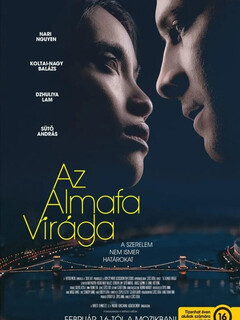 Цветок яблони