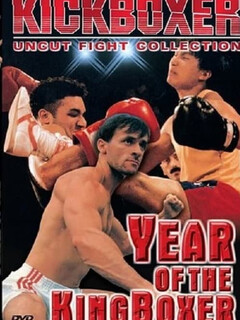 Постер: Year of the Kingboxer