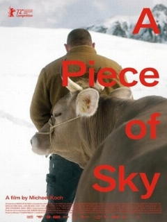 Постер: Кусочек неба