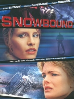 Постер: Занесенный снегом
