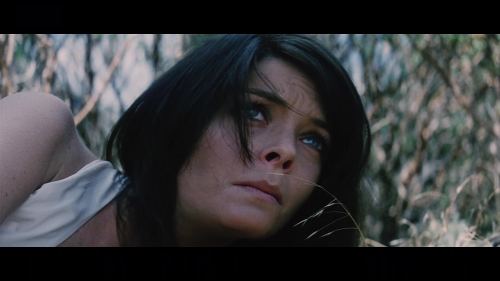 El monte de las brujas película online en español