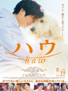 Постер: Haw