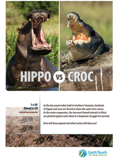 Постер: Hippo vs Croc