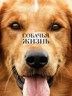 Собачья жизнь