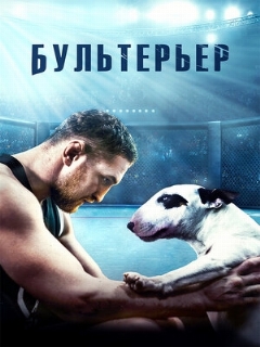 Постер: Бультерьер