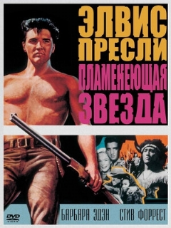 Постер: Пламенеющая звезда