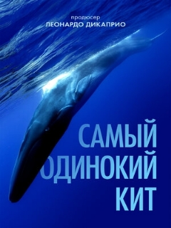 Постер: Самый одинокий кит