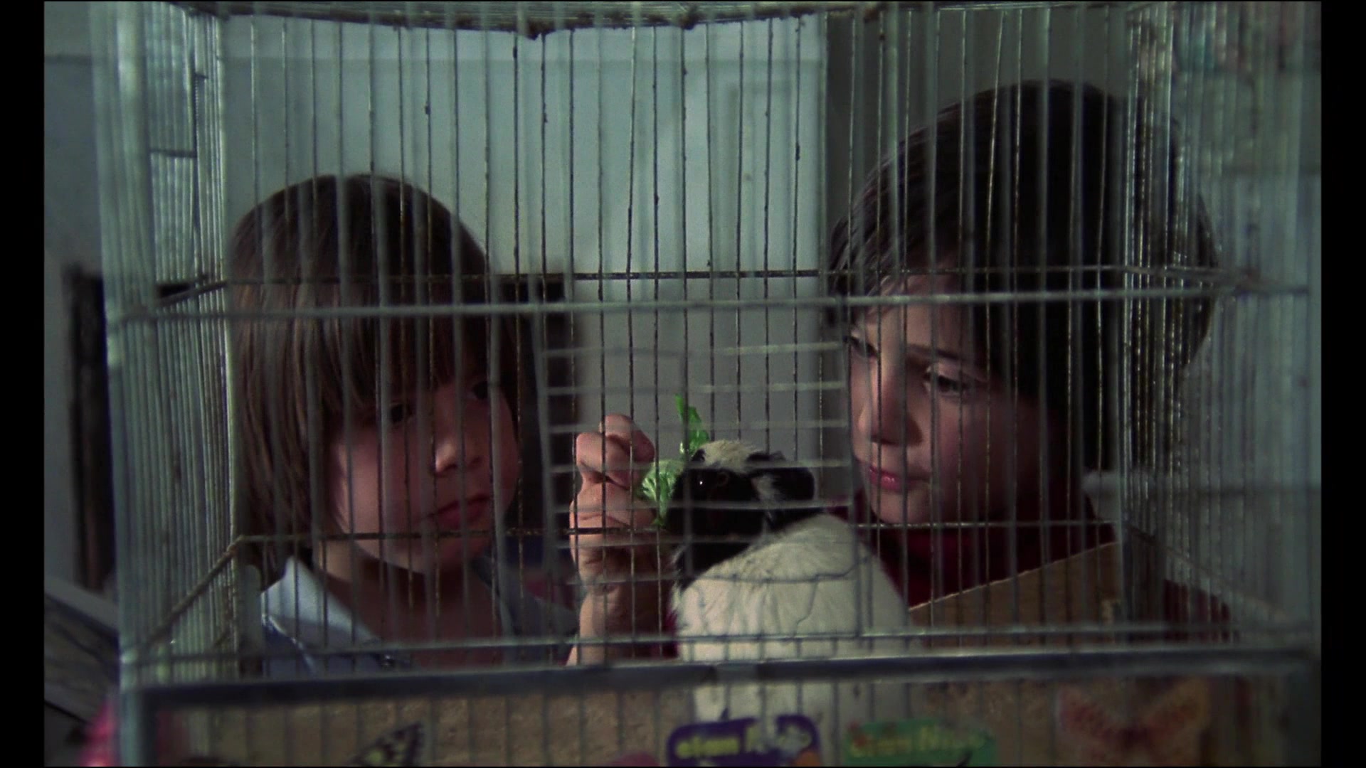 Cría cuervos película online en español