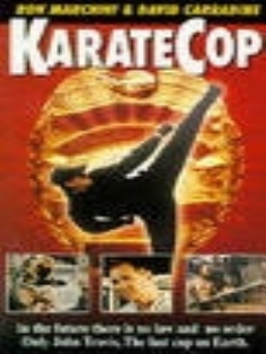 Постер: Полицейский-каратист