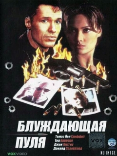 Постер: Блуждающая пуля