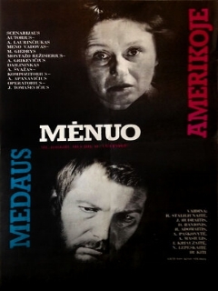 Медовый месяц в Америке