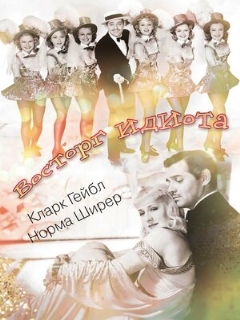 Постер: Восторг идиота