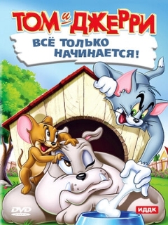 Постер: Кот играет в боулинг