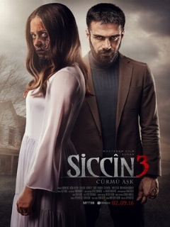 Сиджин 3