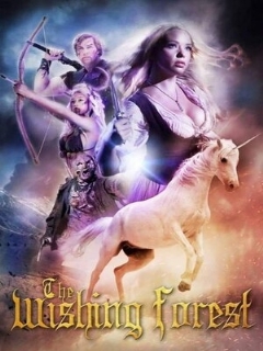 Постер фильма «В поисках единорога»