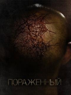 Постер: Пораженный