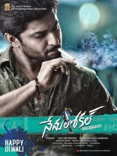 Постер: Nenu Local