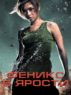 Постер: Феникс в ярости