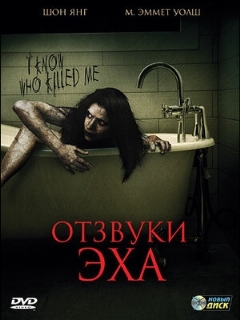 Постер: Отзвуки эха