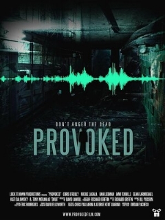 Постер: Provoked