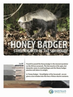 Постер: Ultimate Honey Badger