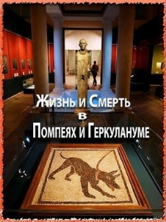 Постер: Жизнь и смерть в Помпеях и Геркулануме