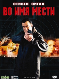 Постер фильма «Во имя мести»