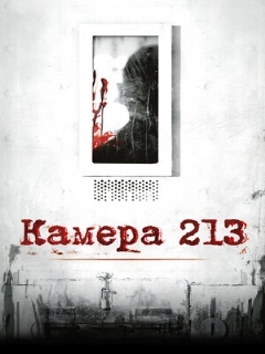 Постер: Камера 213