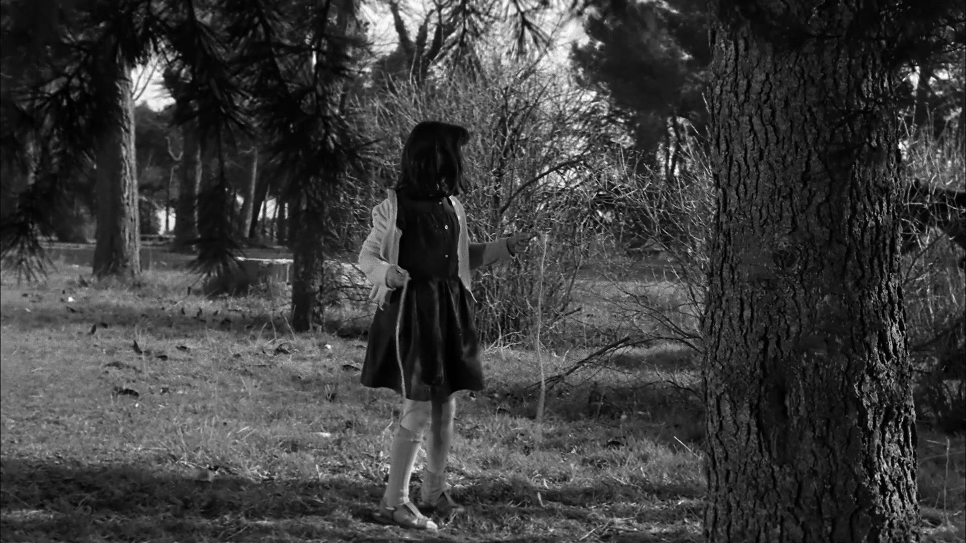 Viridiana película online en español