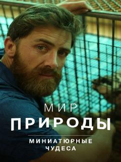 Мир природы. Миниатюрные чудеса