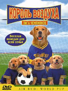 Постер: Король воздуха: Лига чемпионов
