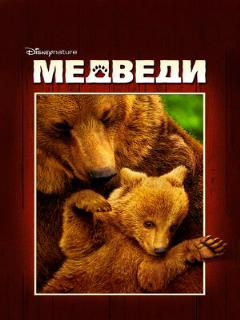 Постер: Медведи