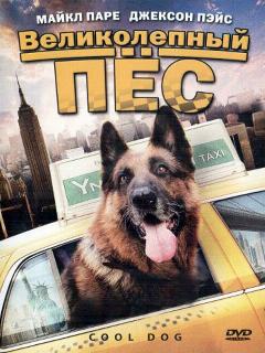 Постер: Великолепный пес